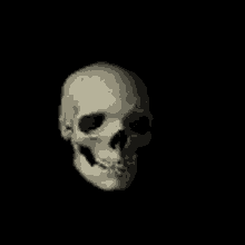A really cool rotating skull